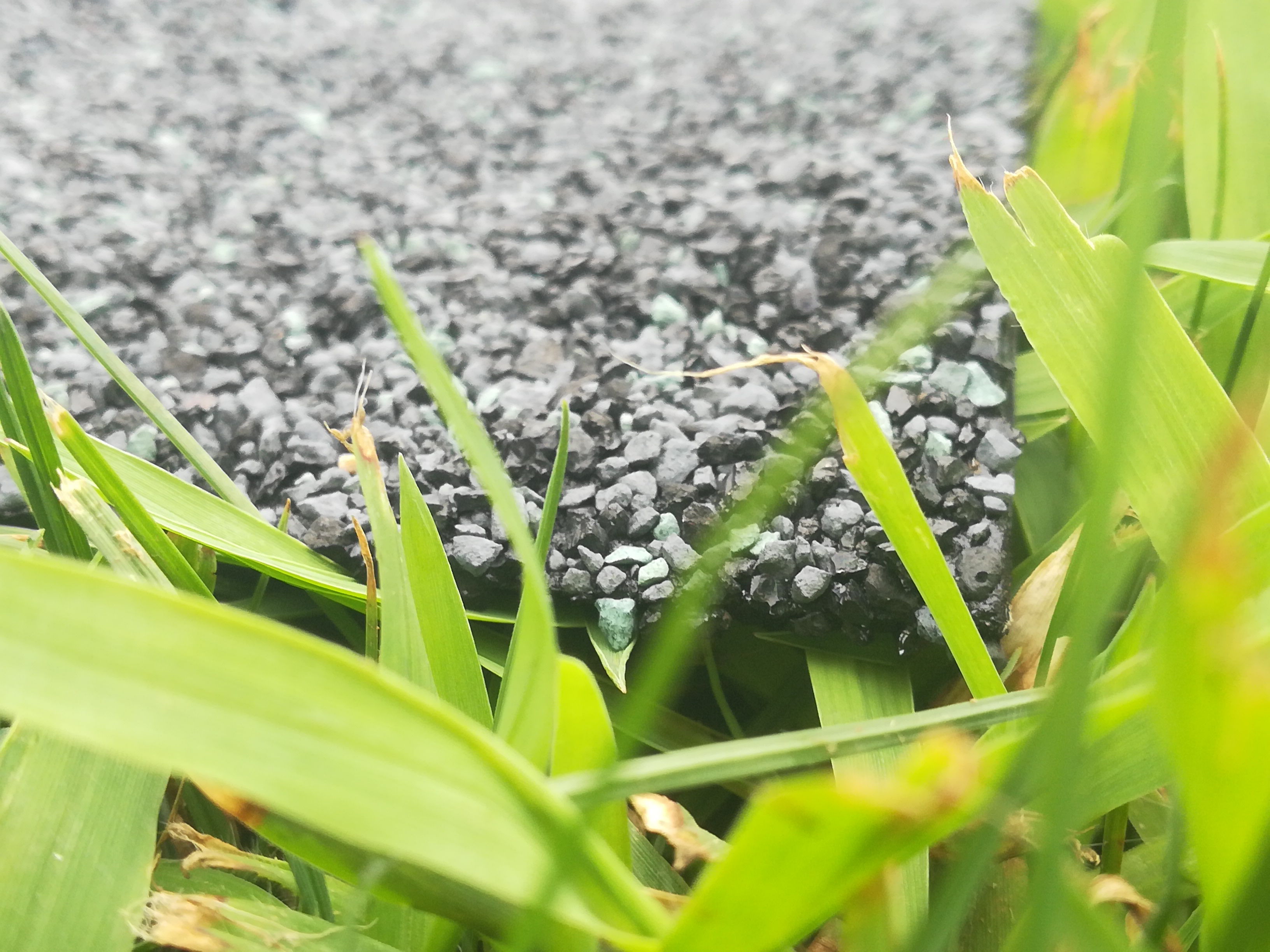路面裂縫處置離不開(kāi)瀝青公路貼縫帶和網(wǎng)裂貼:嘉格網(wǎng)裂貼局部展示圖